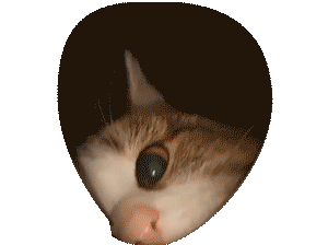 hewo? owo